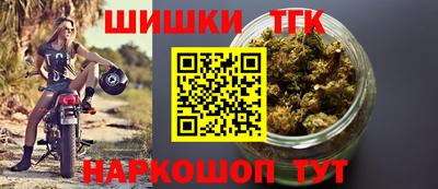 шишки Вышний Волочёк