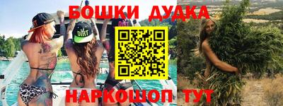 шишки Вышний Волочёк