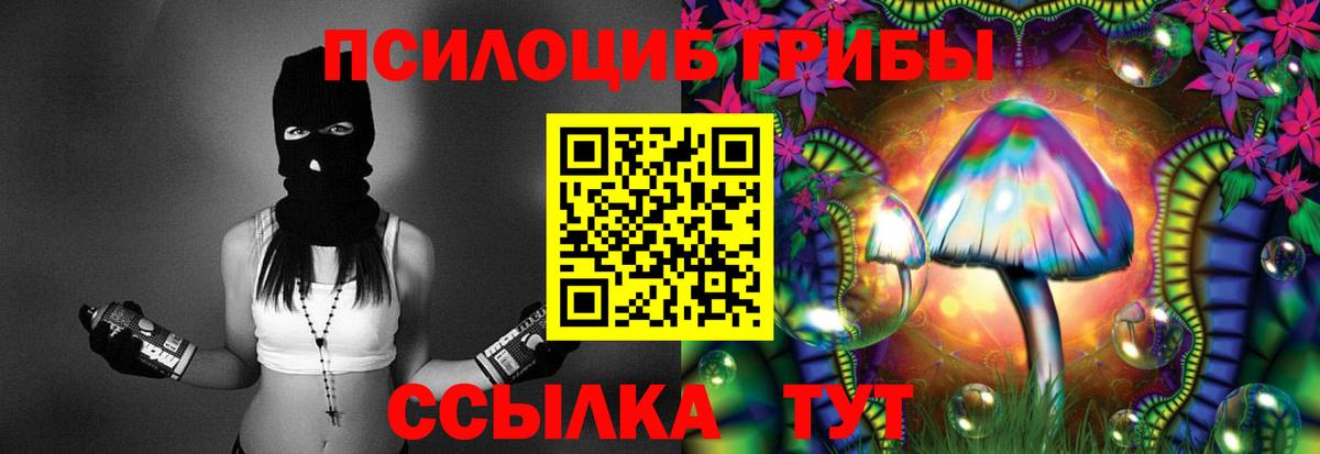 Псилоцибиновые грибы мицелий  Вход с VPN  Ейск  Галлюциногенные грибы Psilocybe 
